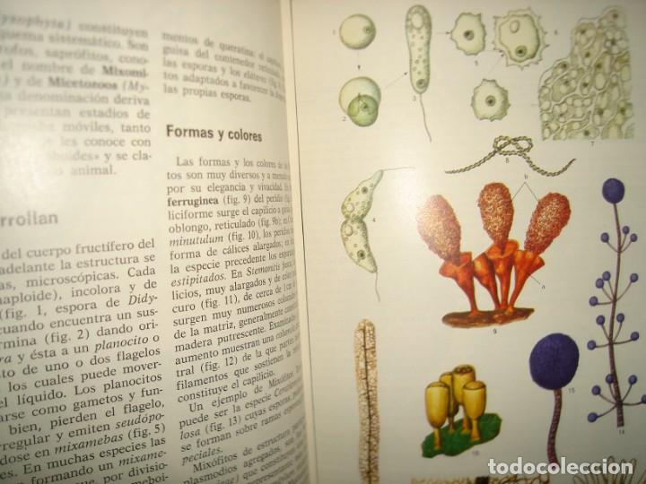 Libros de segunda mano: 34- ATLAS DE BOT&Aacute;NICA. EDITORIAL TEIDE - Foto 8