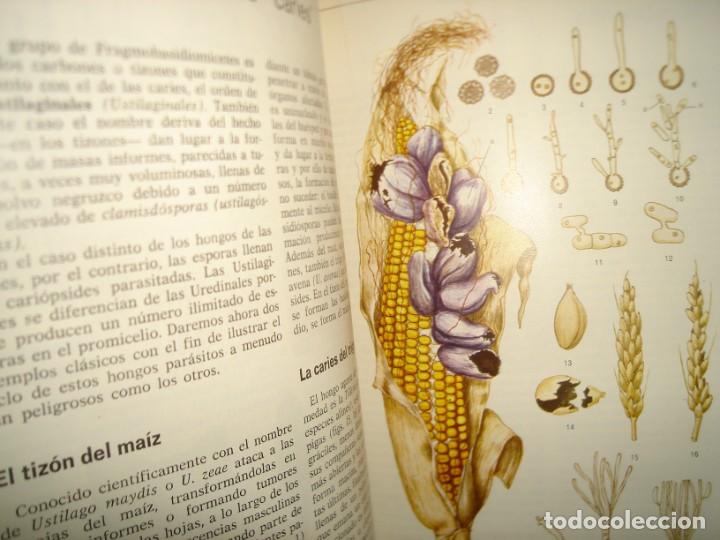 Libros de segunda mano: 34- ATLAS DE BOT&Aacute;NICA. EDITORIAL TEIDE - Foto 9