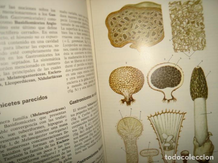 Libros de segunda mano: 34- ATLAS DE BOT&Aacute;NICA. EDITORIAL TEIDE - Foto 10
