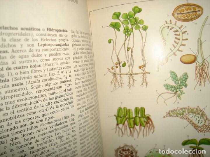Libros de segunda mano: 34- ATLAS DE BOT&Aacute;NICA. EDITORIAL TEIDE - Foto 11