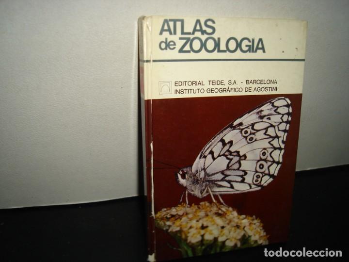 Libros de segunda mano: 34- ATLAS DE ZOOLOG&Iacute;A. EDITORIAL TEIDE - Foto 1