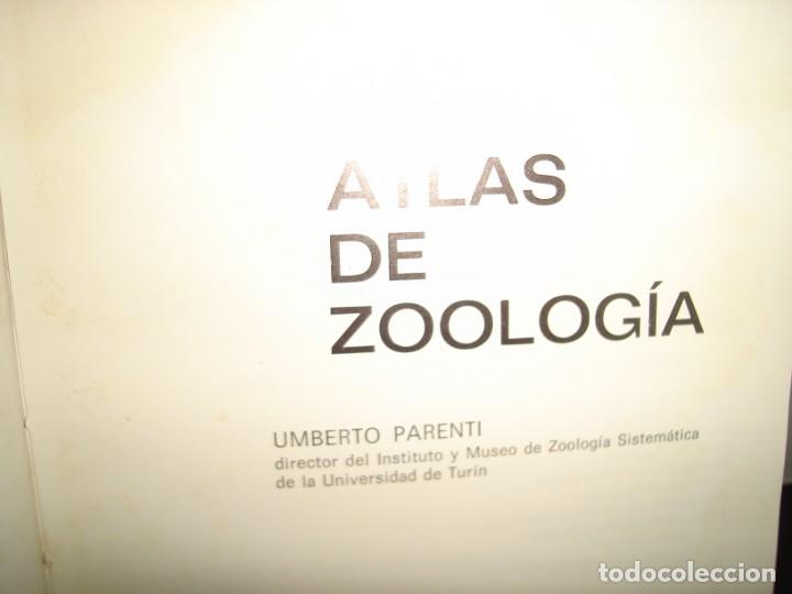 Libros de segunda mano: 34- ATLAS DE ZOOLOG&Iacute;A. EDITORIAL TEIDE - Foto 3