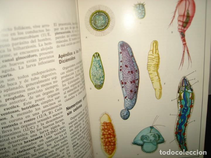 Libros de segunda mano: 34- ATLAS DE ZOOLOG&Iacute;A. EDITORIAL TEIDE - Foto 6