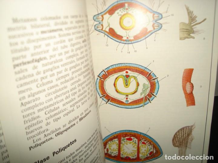 Libros de segunda mano: 34- ATLAS DE ZOOLOG&Iacute;A. EDITORIAL TEIDE - Foto 7