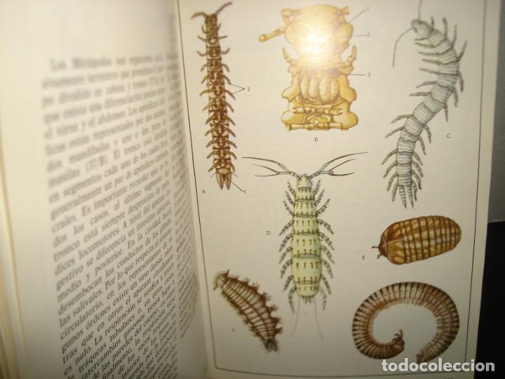 Libros de segunda mano: 34- ATLAS DE ZOOLOG&Iacute;A. EDITORIAL TEIDE - Foto 9