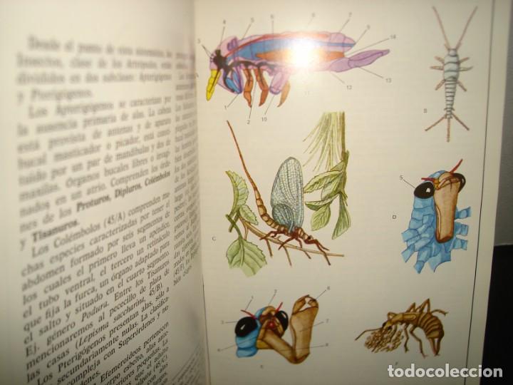 Libros de segunda mano: 34- ATLAS DE ZOOLOG&Iacute;A. EDITORIAL TEIDE - Foto 10