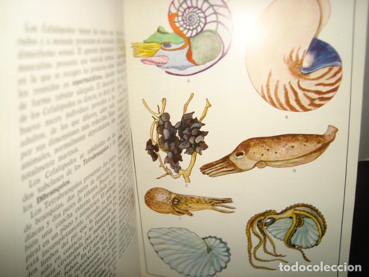 Libros de segunda mano: 34- ATLAS DE ZOOLOG&Iacute;A. EDITORIAL TEIDE - Foto 11