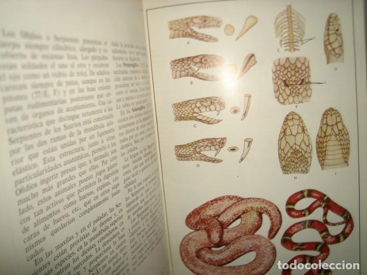 Libros de segunda mano: 34- ATLAS DE ZOOLOG&Iacute;A. EDITORIAL TEIDE - Foto 13
