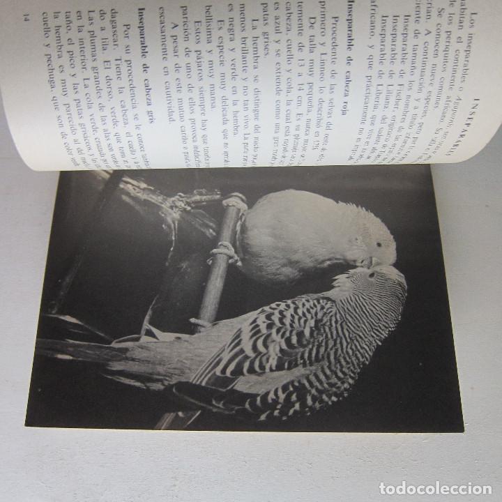 Libros de segunda mano: PERIQUITOS, LOROS, PALOMAS Y T&Oacute;RTOLAS (MIS AMIGOS LOS ANIMALES) - Foto 2