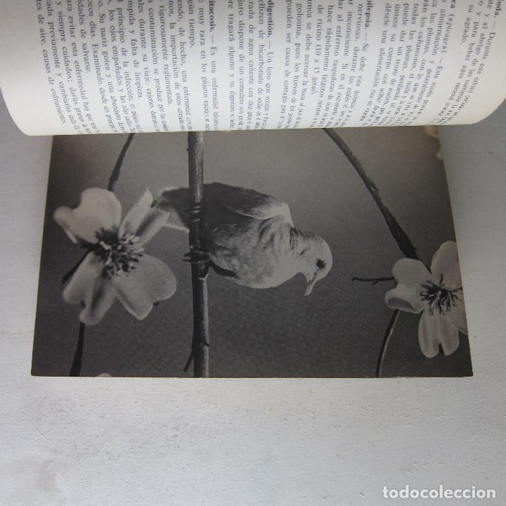 Libros de segunda mano: PERIQUITOS, LOROS, PALOMAS Y T&Oacute;RTOLAS (MIS AMIGOS LOS ANIMALES) - Foto 3