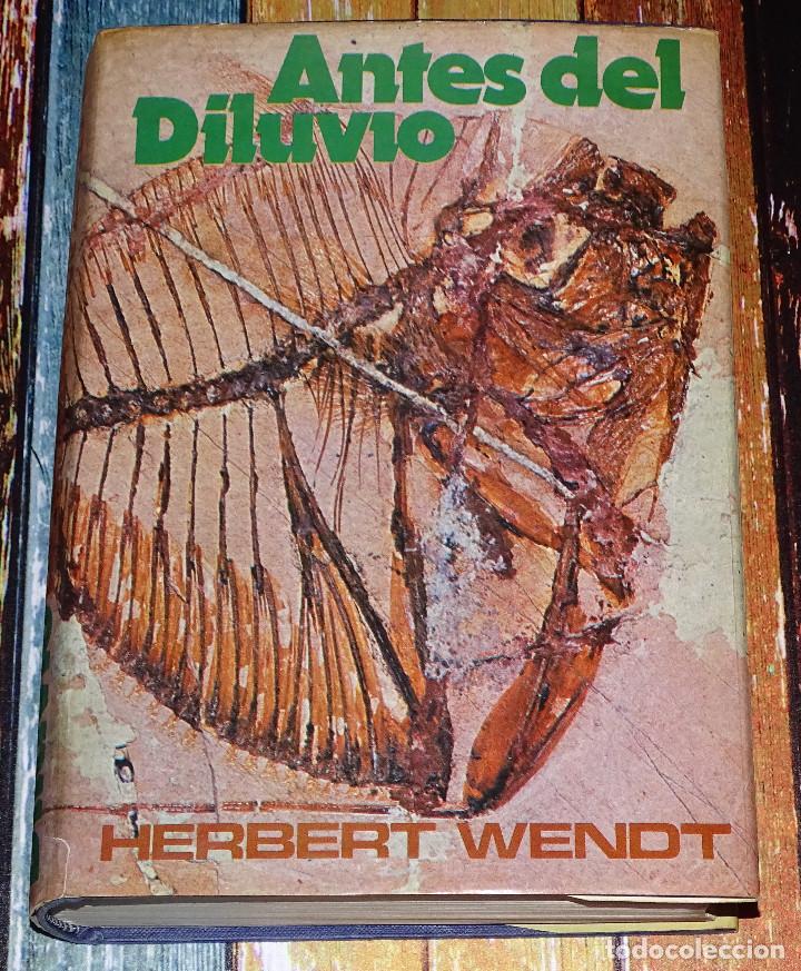 Libros de segunda mano: Antes del diluvio. Herbert Wendt. - Foto 1