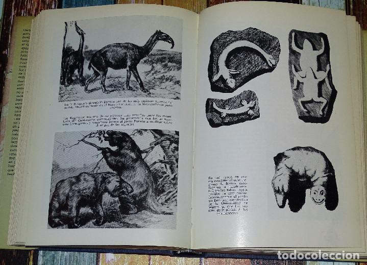 Libros de segunda mano: Antes del diluvio. Herbert Wendt. - Foto 2