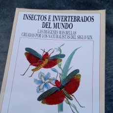 Libros de segunda mano: INSECTOS E INVERTEBRADOS DEL MUNDO - LAS IMAGENES MAS BELLAS CREADAS POR LOS NATURALISTA: H. ARAMAT. Lote 355891400