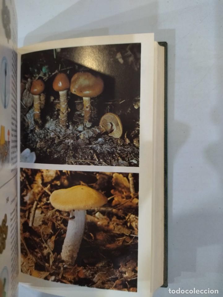 Libros de segunda mano: Gu&iacute;a de hongos - Giovanni Pacioni - Foto 2
