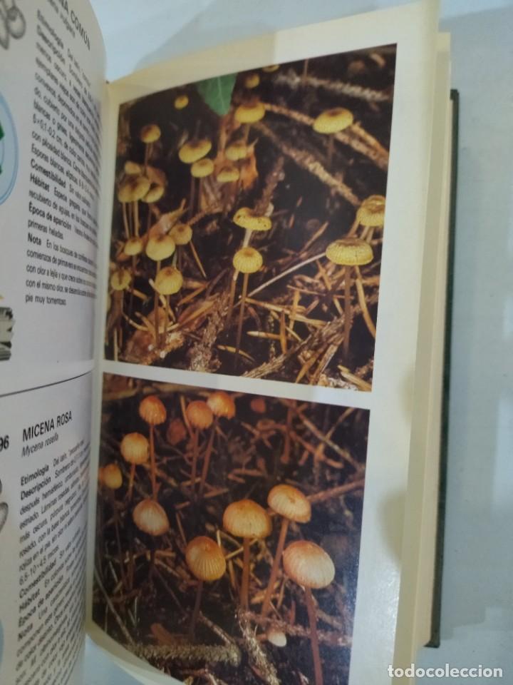 Libros de segunda mano: Gu&iacute;a de hongos - Giovanni Pacioni - Foto 3
