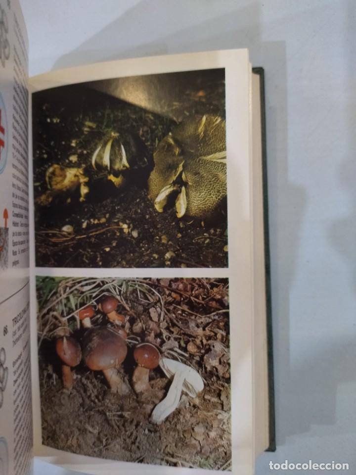 Libros de segunda mano: Gu&iacute;a de hongos - Giovanni Pacioni - Foto 4