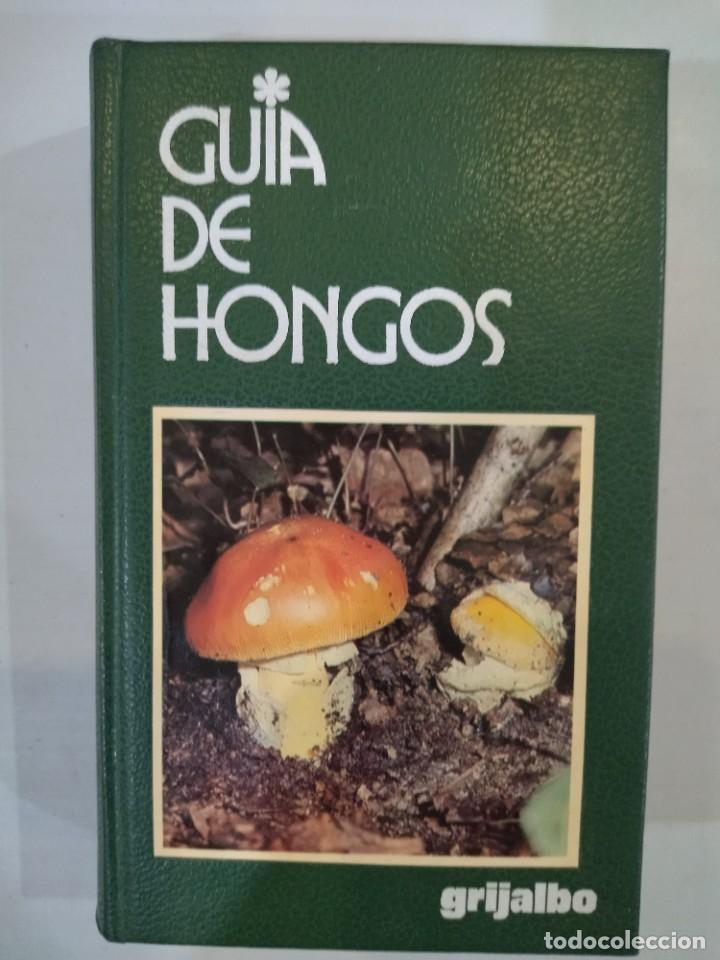 Libros de segunda mano: Gu&iacute;a de hongos - Giovanni Pacioni - Foto 1