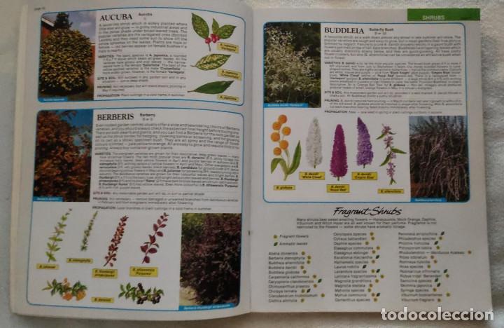 Libros de segunda mano: (Experto en &aacute;rboles y setos) The tree & shrub expert. - Foto 3