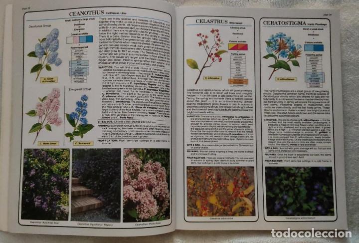 Libros de segunda mano: (Experto en arbustos en flor) The Flowering Shrub Expert. - Foto 3