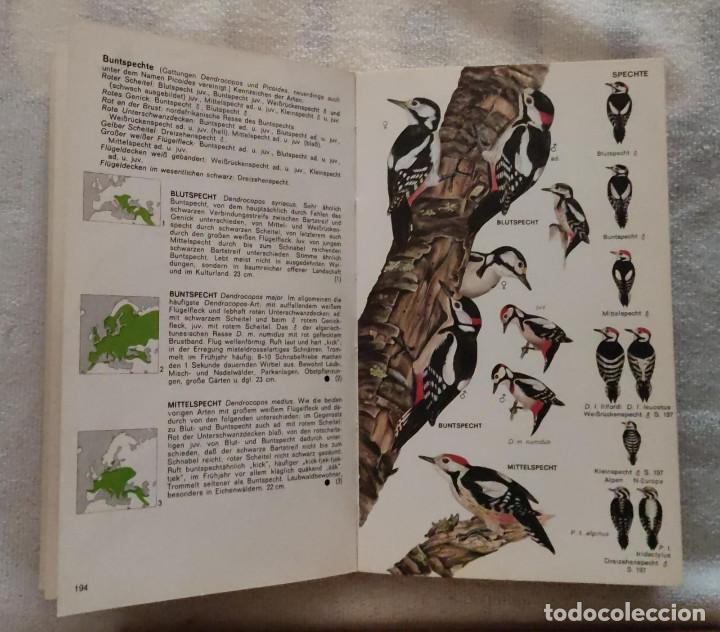 Libros de segunda mano: Pareys Vogelbuch,(Libro de p&aacute;jaros de Parey). - Foto 3