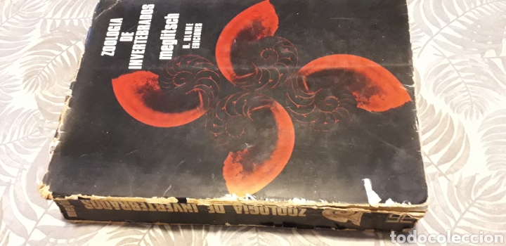 Libros de segunda mano: ZOOLOG&Iacute;A DE INVERTEBRADOS, MEGLITSCH, - Foto 2