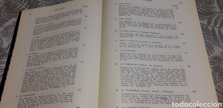 Libros de segunda mano: ZOOLOG&Iacute;A DE INVERTEBRADOS, MEGLITSCH, - Foto 4