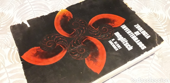 Libros de segunda mano: ZOOLOG&Iacute;A DE INVERTEBRADOS, MEGLITSCH, - Foto 1