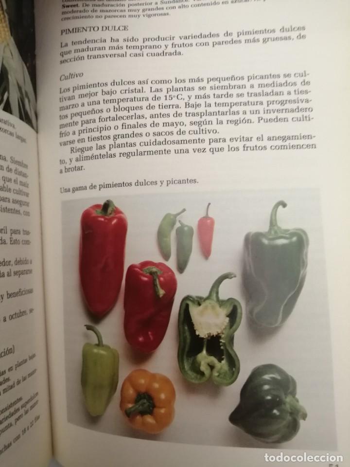 Libros de segunda mano: EL HUERTO EN EL JARD&Iacute;N - Foto 3