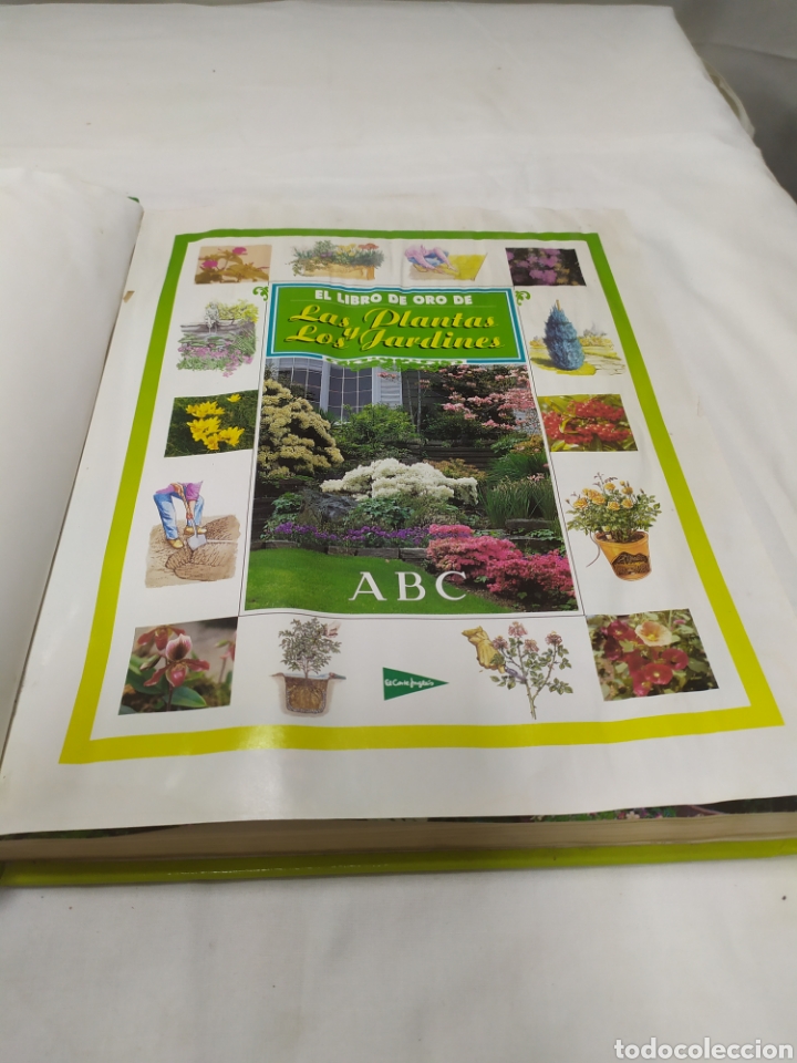 Libros de segunda mano: El libro de oro de las plantas y los jardines, ABC, 1995 - Foto 3