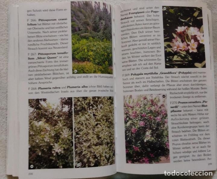 Libros de segunda mano: IHR GARTEN IN SPANIEN. - Foto 2