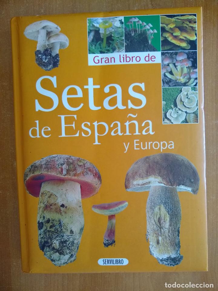 Libros de segunda mano: Gran libro de Setas de Espa&ntilde;a y Europa. Georges Becker. Servilibro. - Foto 1