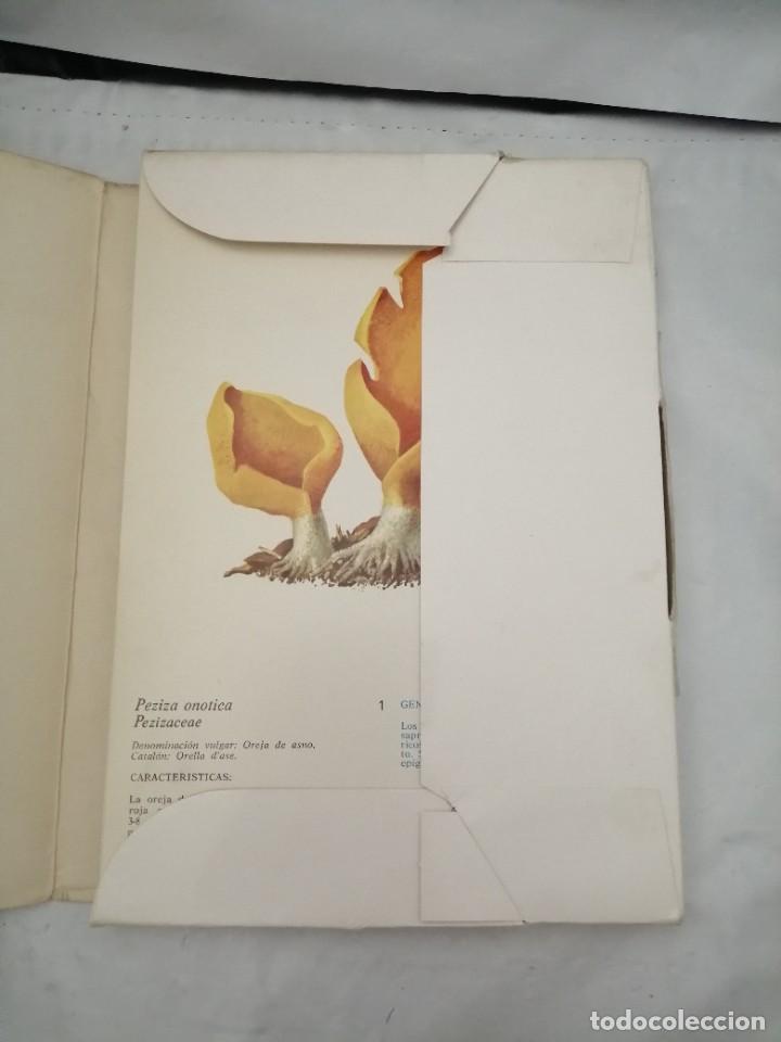 Libros de segunda mano: L&Aacute;MINAS SETAS (OBRA COMPLETA: 50 L&Aacute;MINAS EN CARPETILLA ILUSTRADA) - Foto 3