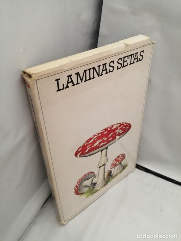 Libros de segunda mano: L&Aacute;MINAS SETAS (OBRA COMPLETA: 50 L&Aacute;MINAS EN CARPETILLA ILUSTRADA) - Foto 9