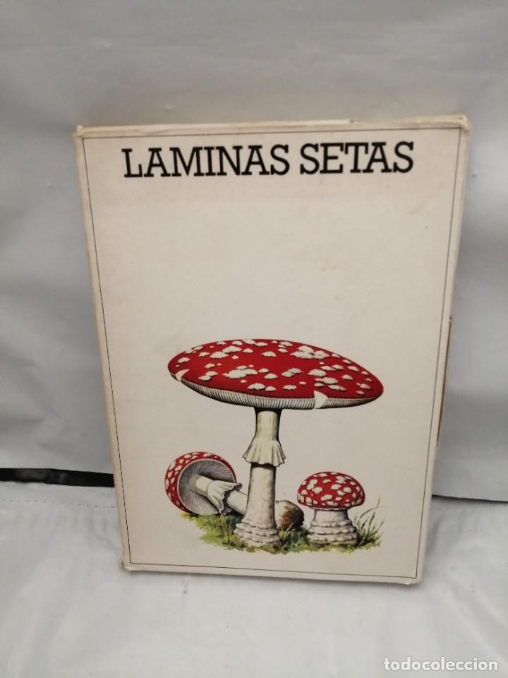 Libros de segunda mano: L&Aacute;MINAS SETAS (OBRA COMPLETA: 50 L&Aacute;MINAS EN CARPETILLA ILUSTRADA) - Foto 1