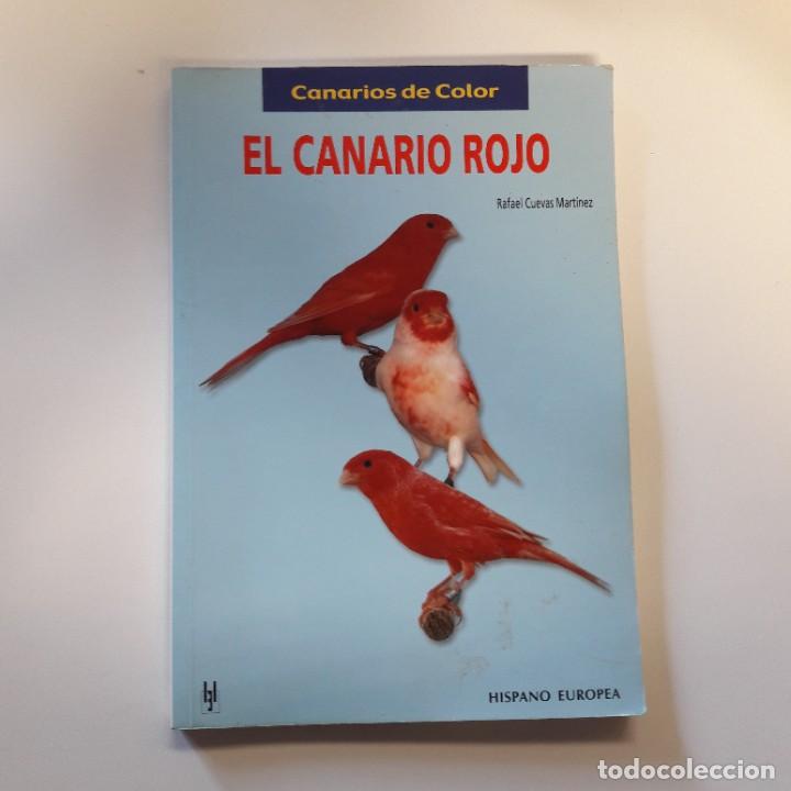 Libros de segunda mano: EL CANARIO ROJO RAFAEL CUEVAS MARTINEZ - Foto 1