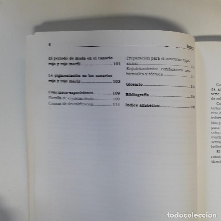 Libros de segunda mano: EL CANARIO ROJO RAFAEL CUEVAS MARTINEZ - Foto 2