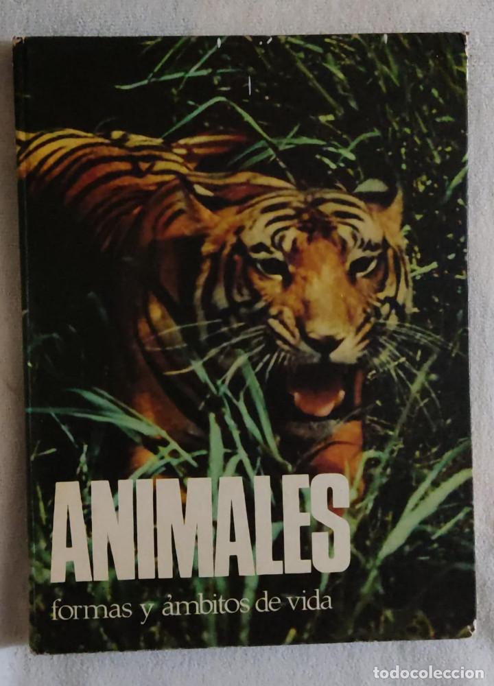 Libros de segunda mano: ANIMALES. - Foto 1