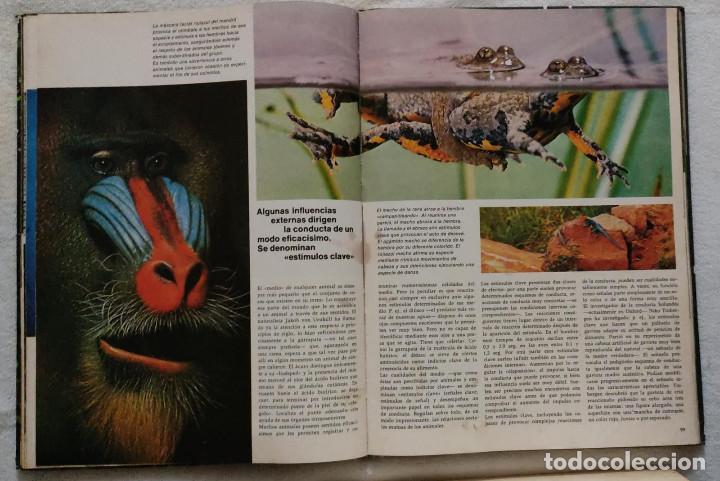 Libros de segunda mano: ANIMALES. - Foto 2