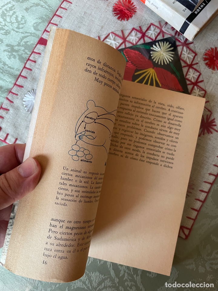 Libros de segunda mano: La conducta de los animales - J D Carthy - Foto 2