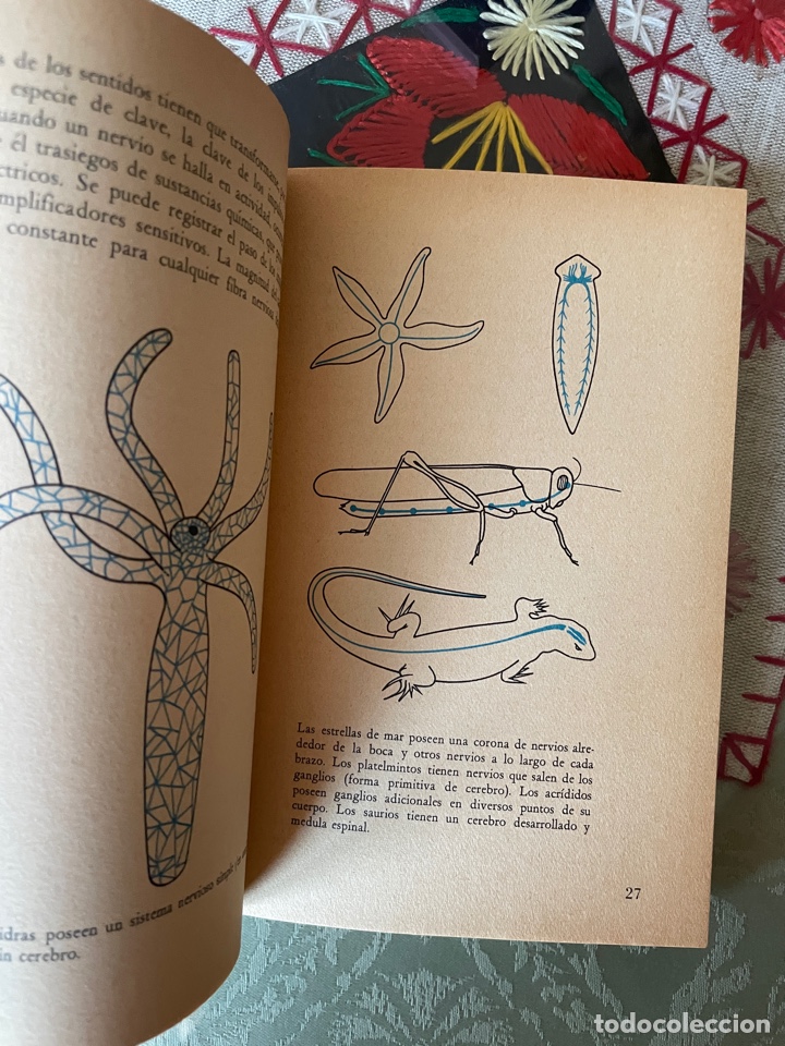 Libros de segunda mano: La conducta de los animales - J D Carthy - Foto 3