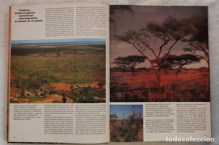 Libros de segunda mano: PLANTAS. - Foto 2