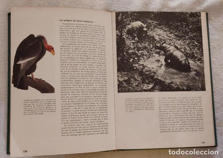 Libros de segunda mano: ANIMALES EX&Oacute;TICOS. - Foto 3