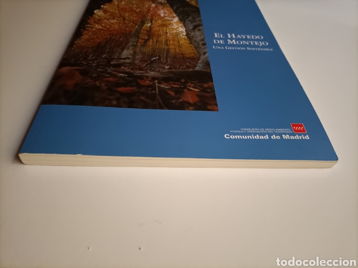 Libros de segunda mano: El hayedo de Montejo. Una gesti&oacute;n sostenible . Comunidad de Madrid - Foto 3