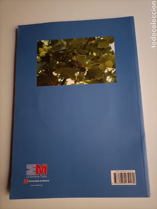 Libros de segunda mano: El hayedo de Montejo. Una gesti&oacute;n sostenible . Comunidad de Madrid - Foto 4