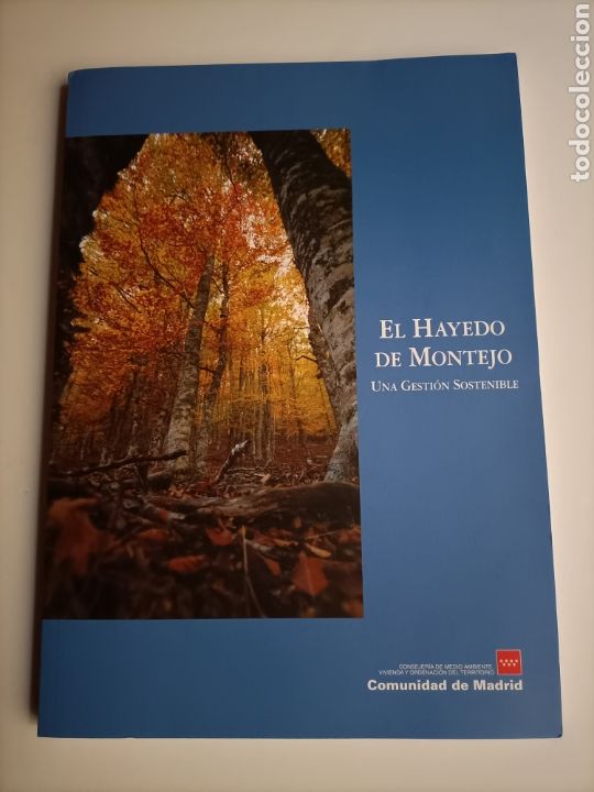 Libros de segunda mano: El hayedo de Montejo. Una gesti&oacute;n sostenible . Comunidad de Madrid - Foto 5