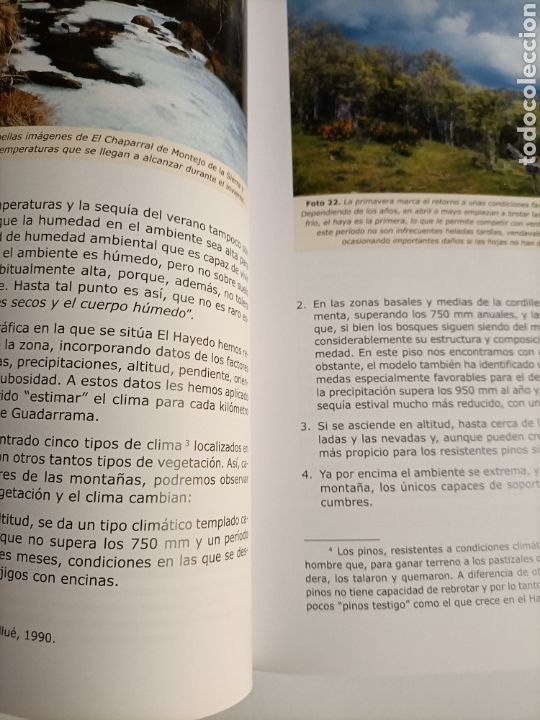 Libros de segunda mano: El hayedo de Montejo. Una gesti&oacute;n sostenible . Comunidad de Madrid - Foto 9