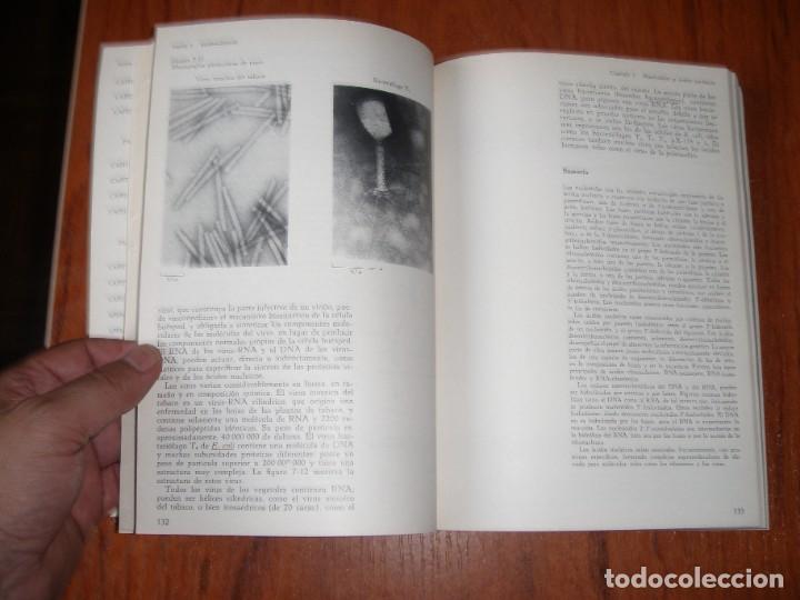 Libros de segunda mano de ciencias: CURSO BREVE DE BIOQUIMICA - Foto 3