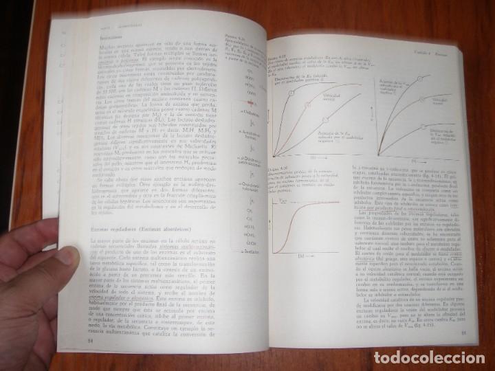 Libros de segunda mano de ciencias: CURSO BREVE DE BIOQUIMICA - Foto 5