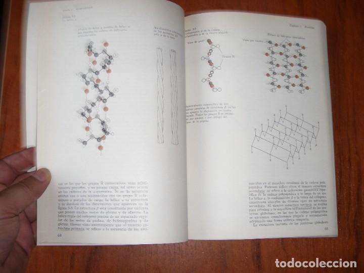 Libros de segunda mano de ciencias: CURSO BREVE DE BIOQUIMICA - Foto 6
