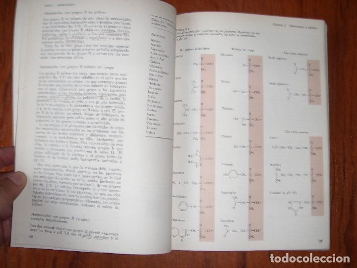Libros de segunda mano de ciencias: CURSO BREVE DE BIOQUIMICA - Foto 7